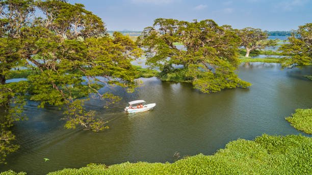 benthota boat safari, Sri Lanka